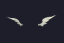 Perfect Wing Ears of Force