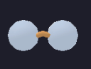 Scholar Glasses