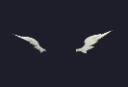 Wing Ears of Force