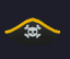 Pirate Hat